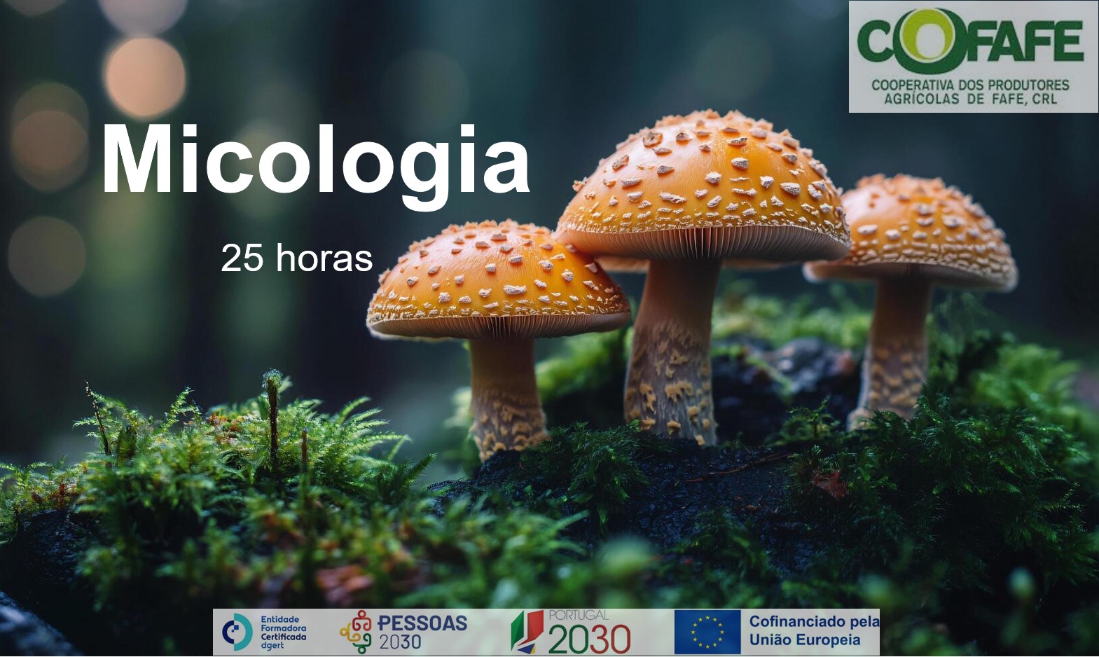 Micologia