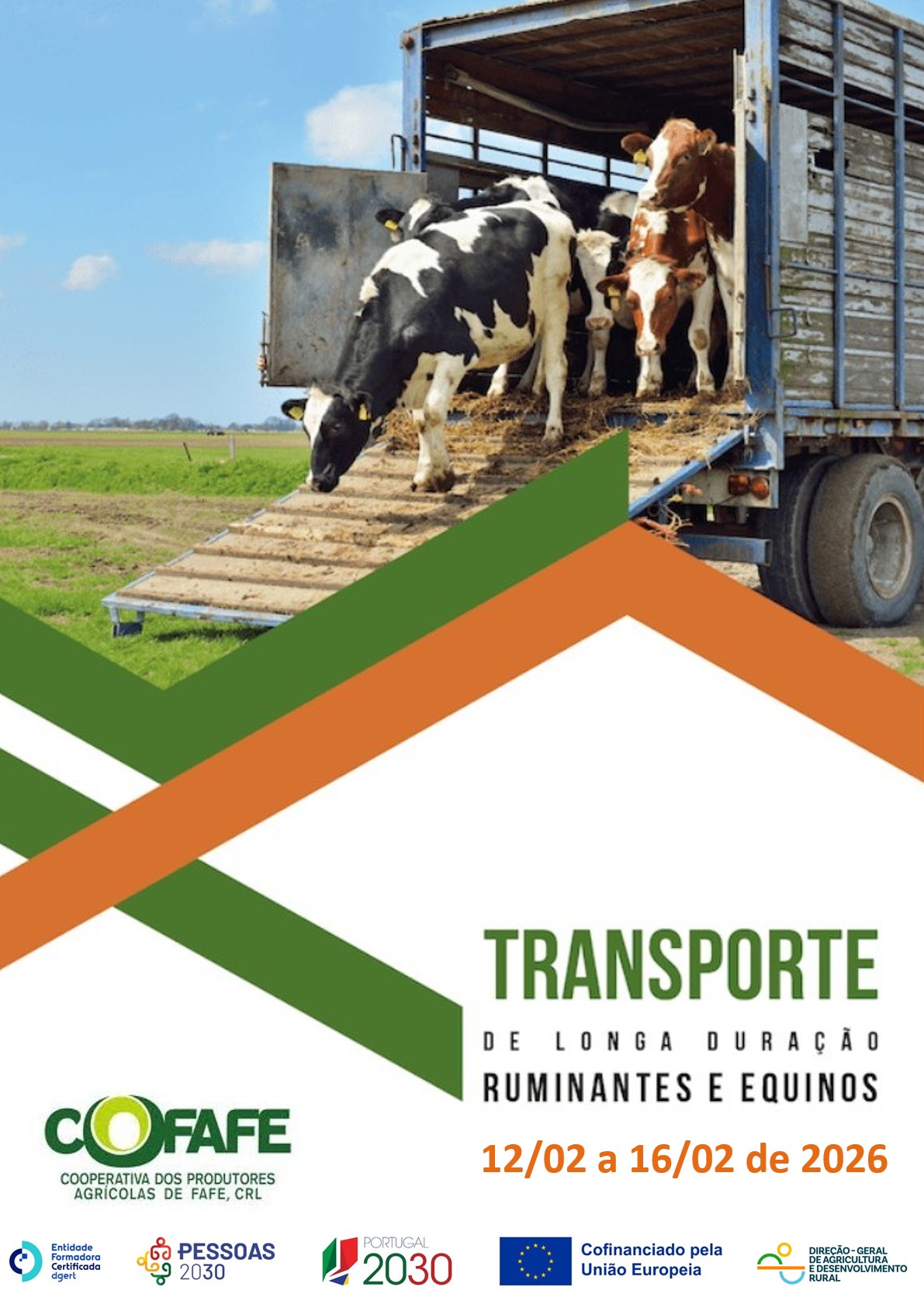 Proteção de ruminantes e equinos em transporte de longa duração