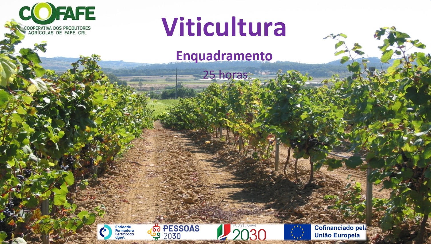 Enquadramento - viticultura