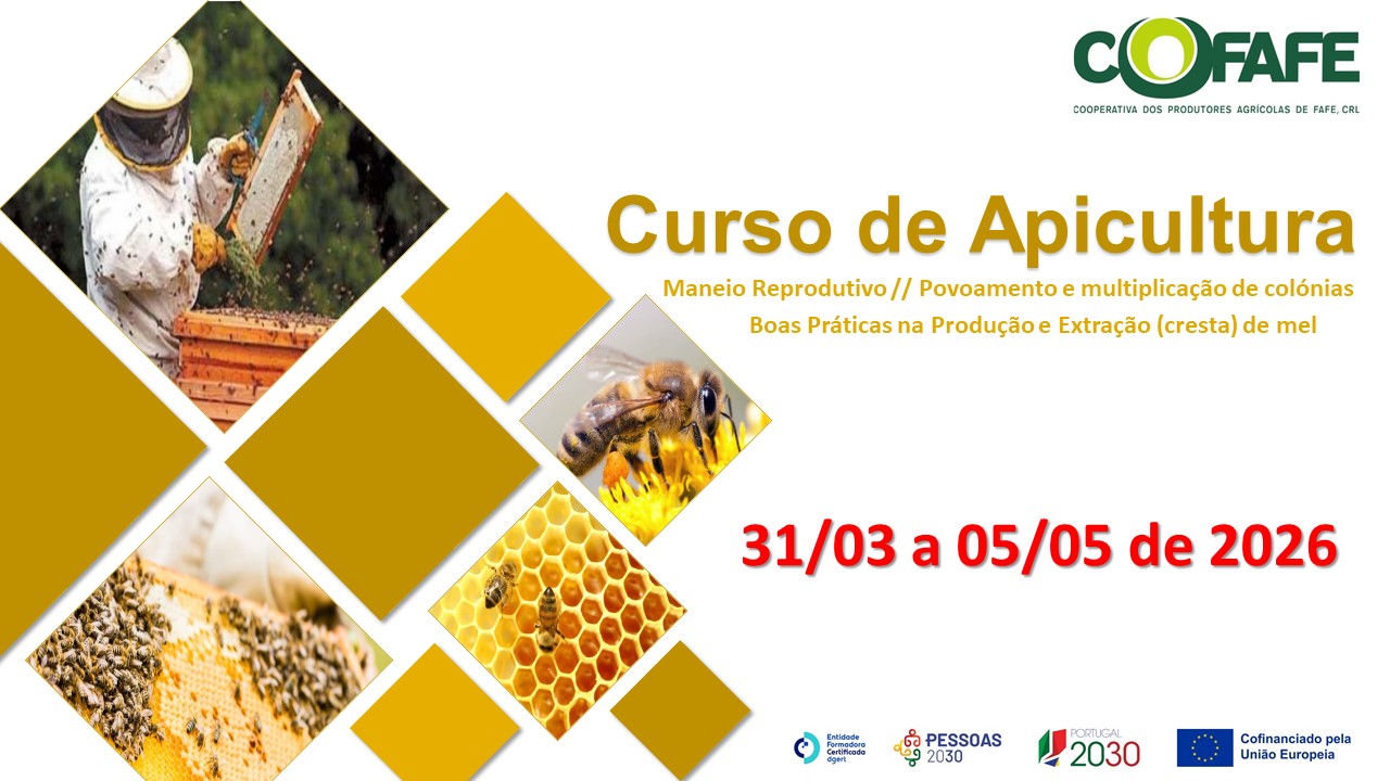 Apicultura