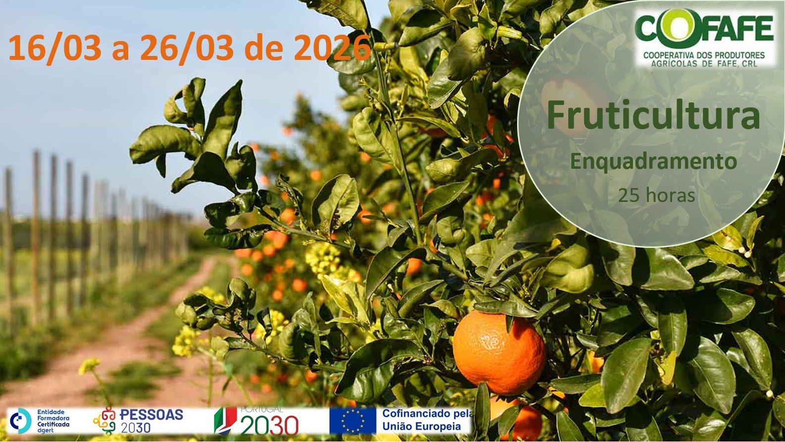 Fruticultura - Enquadramento