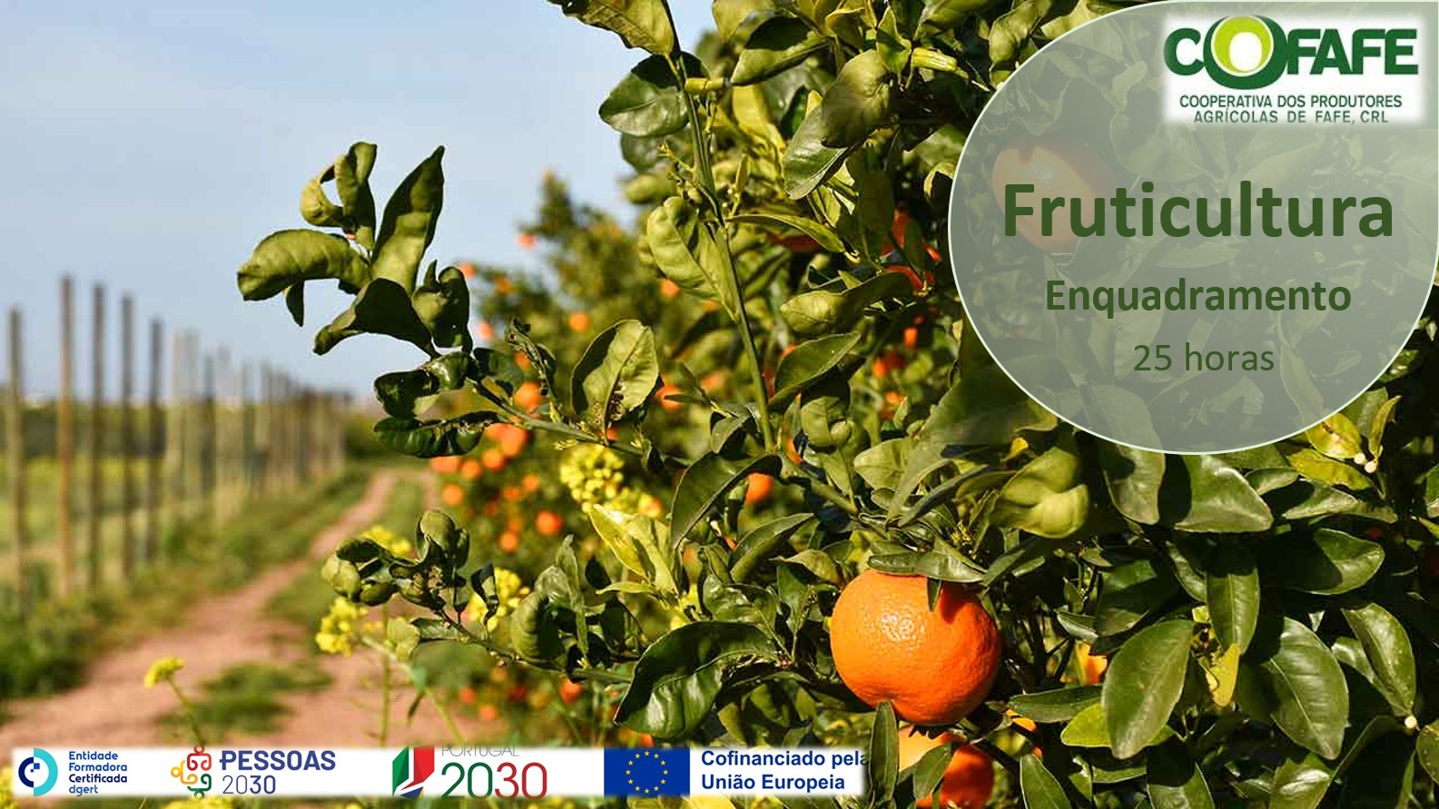 Enquadramento - Fruticultura