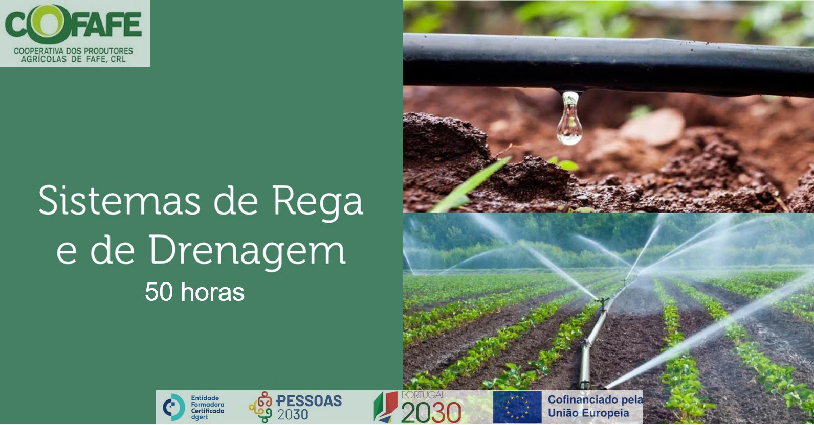 Sistema de Rega e Drenagem
