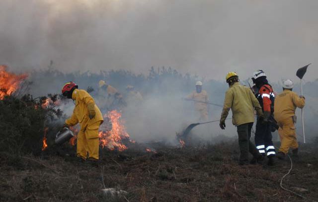 Sapadores Florestais