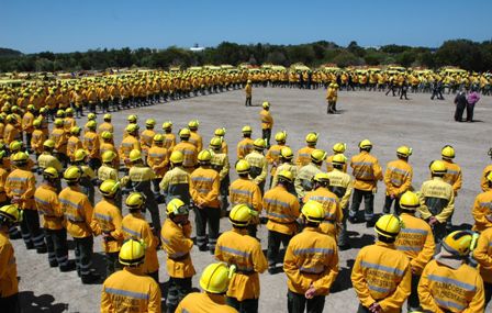 Sapadores Florestais
